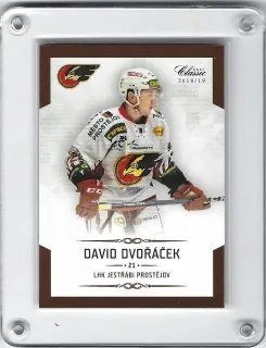 Dvořáček David OFS Chance Liga 2018-19  č.114